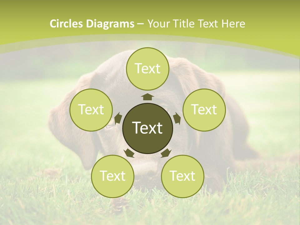 Summer Brown Face PowerPoint Template