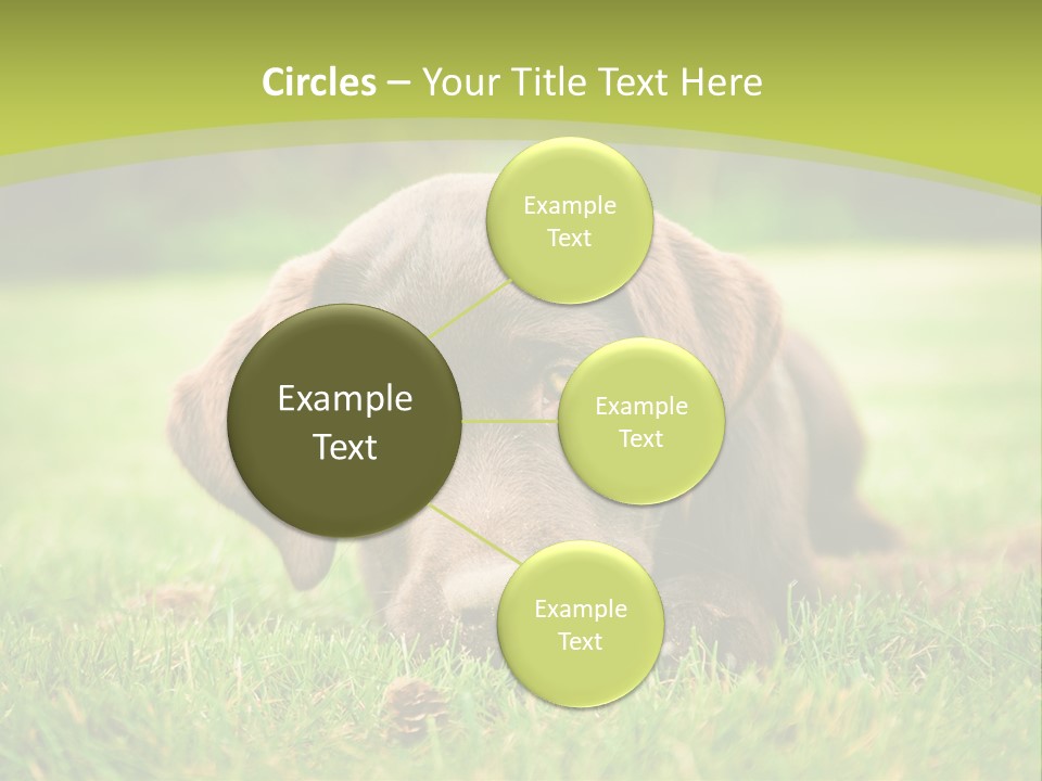 Summer Brown Face PowerPoint Template