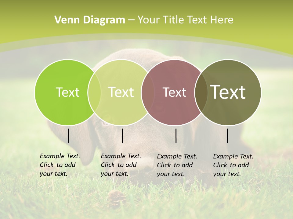 Summer Brown Face PowerPoint Template