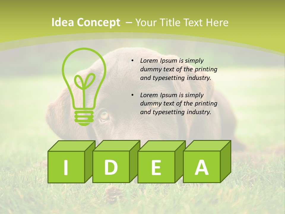 Summer Brown Face PowerPoint Template