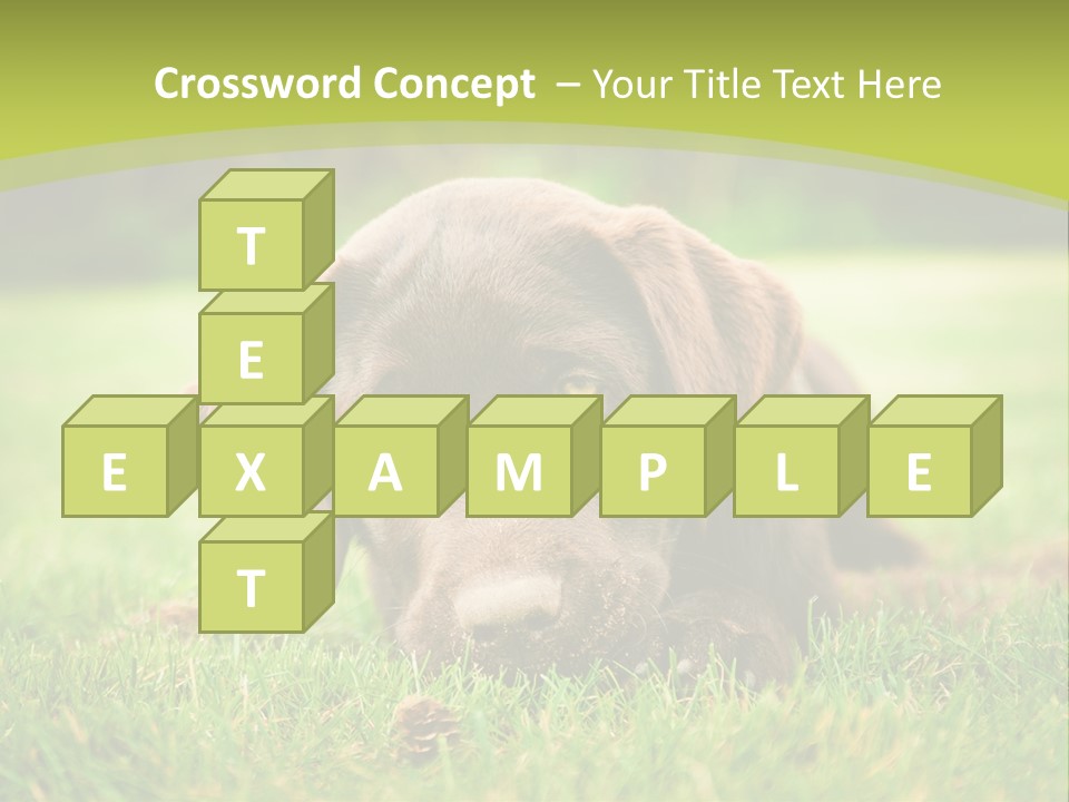 Summer Brown Face PowerPoint Template