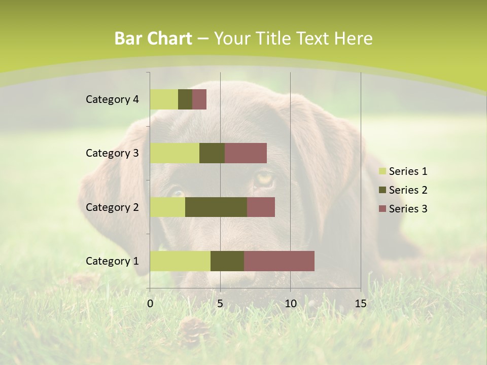Summer Brown Face PowerPoint Template