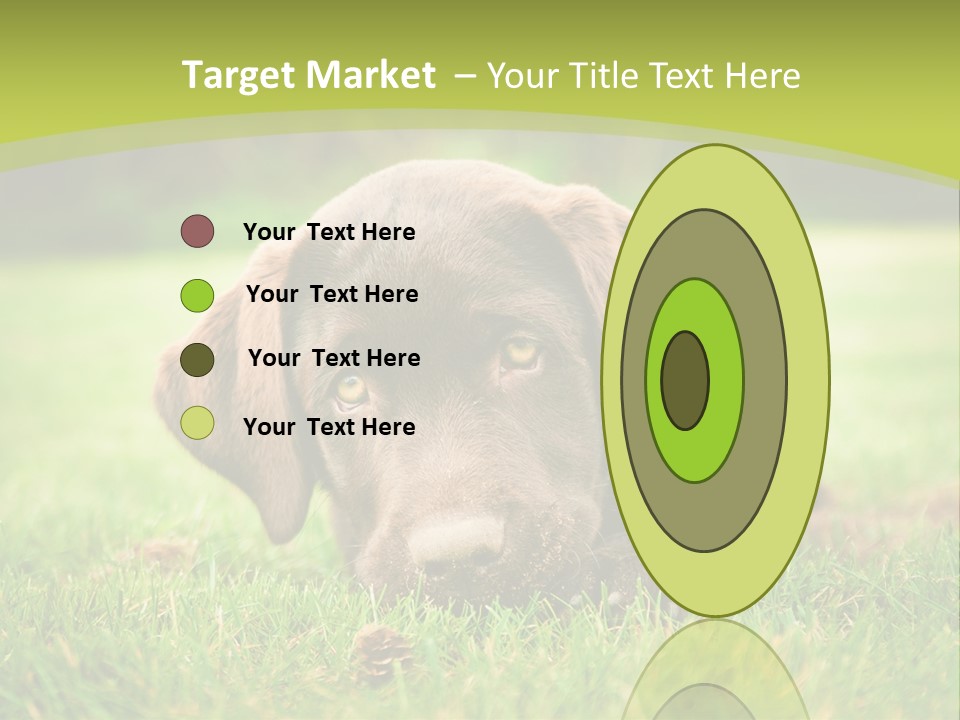 Summer Brown Face PowerPoint Template