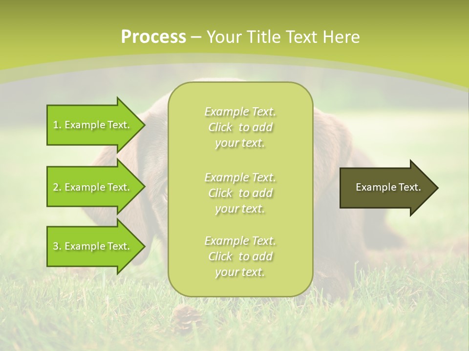 Summer Brown Face PowerPoint Template