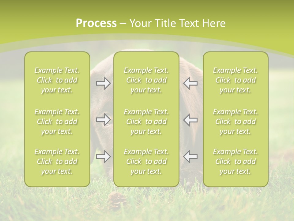 Summer Brown Face PowerPoint Template
