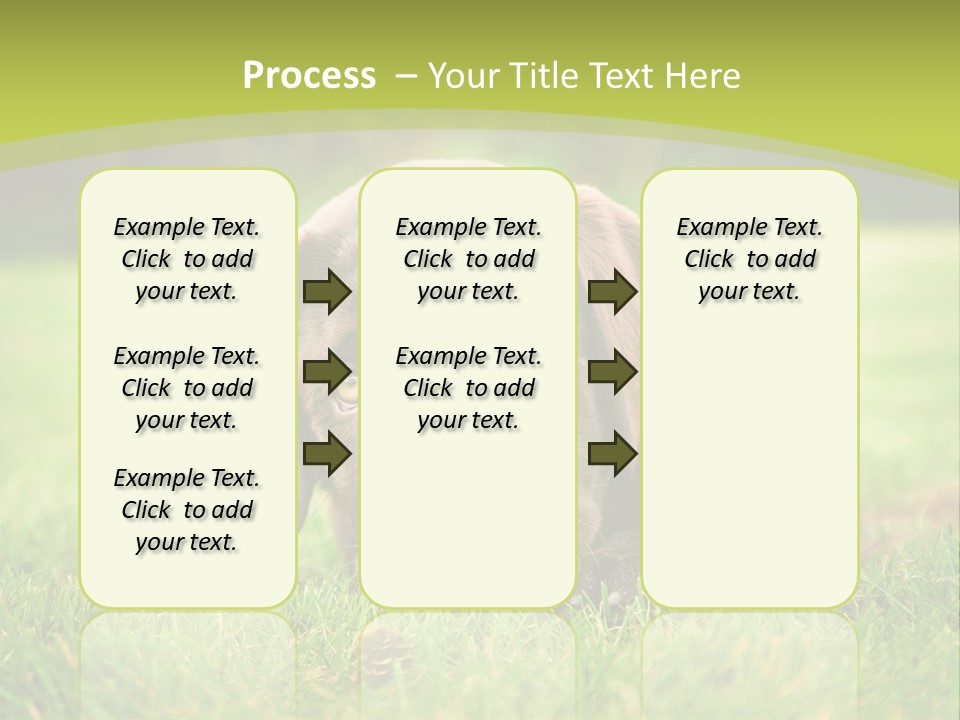 Summer Brown Face PowerPoint Template