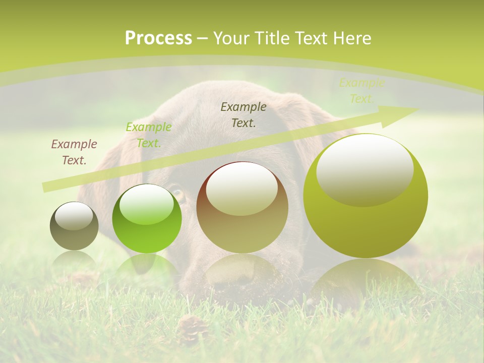 Summer Brown Face PowerPoint Template