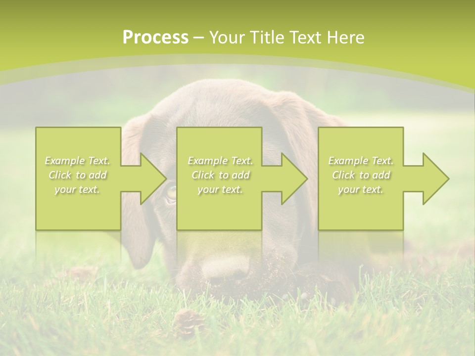 Summer Brown Face PowerPoint Template