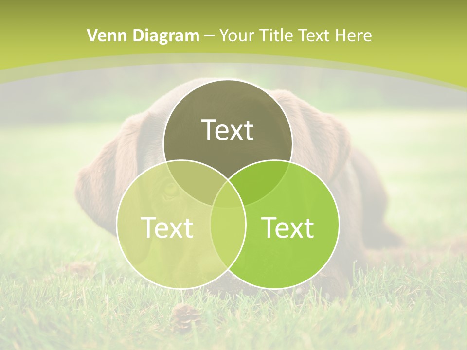 Summer Brown Face PowerPoint Template