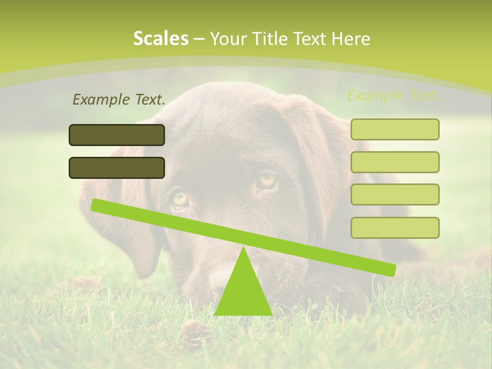 Summer Brown Face PowerPoint Template