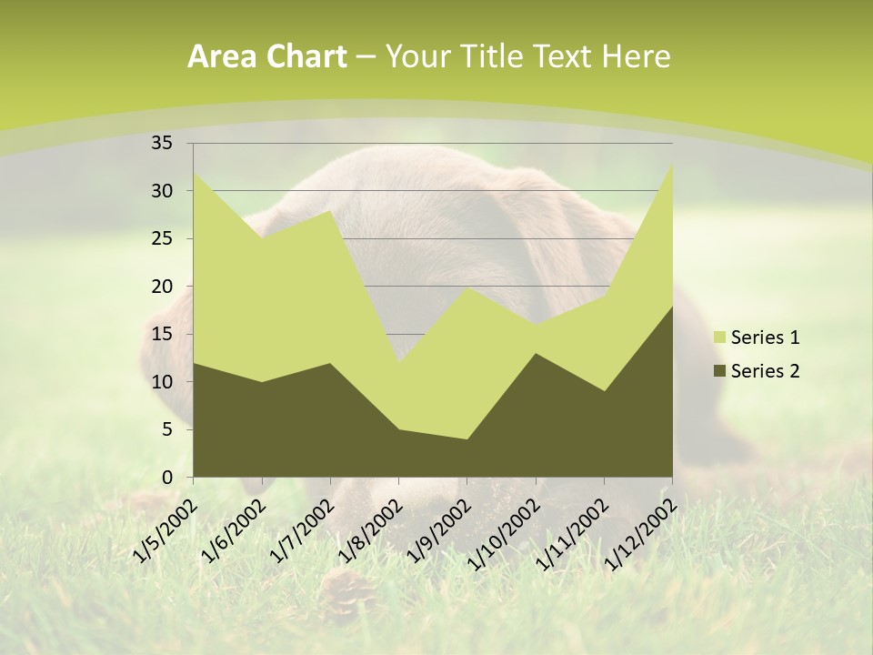Summer Brown Face PowerPoint Template