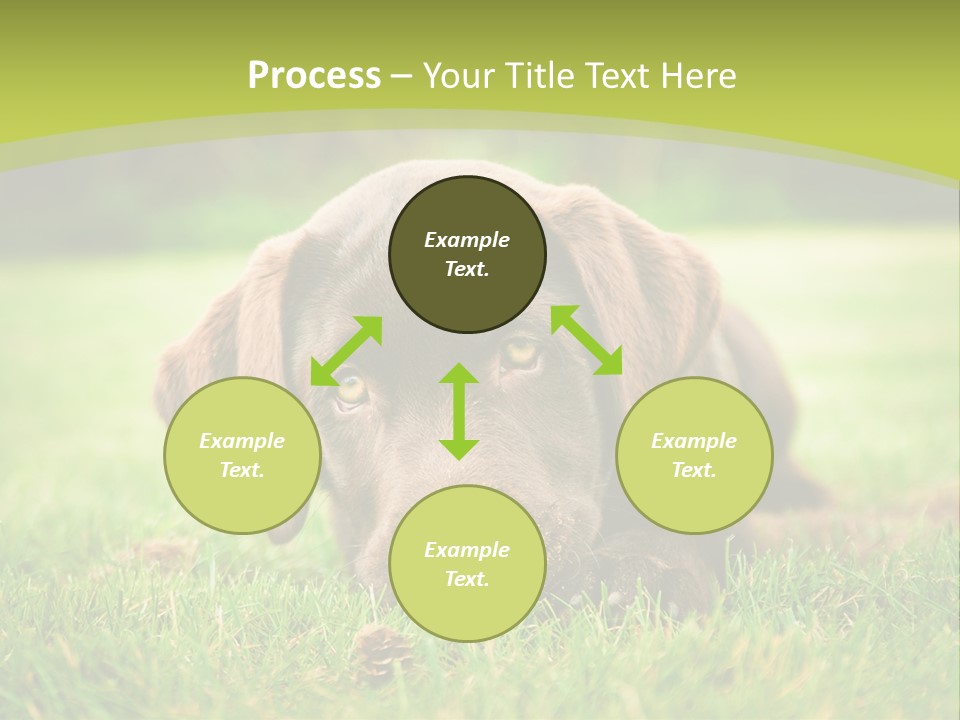 Summer Brown Face PowerPoint Template