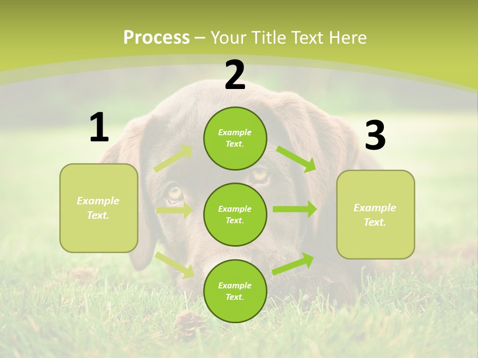 Summer Brown Face PowerPoint Template