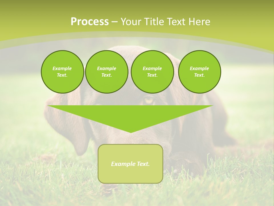 Summer Brown Face PowerPoint Template