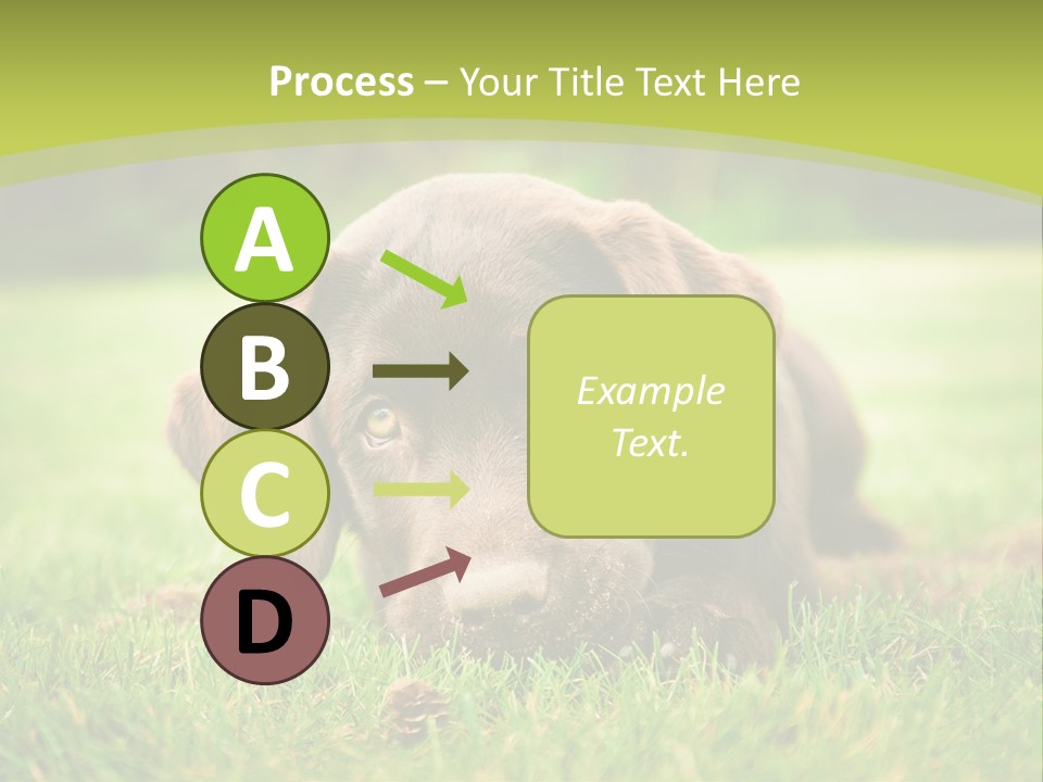 Summer Brown Face PowerPoint Template