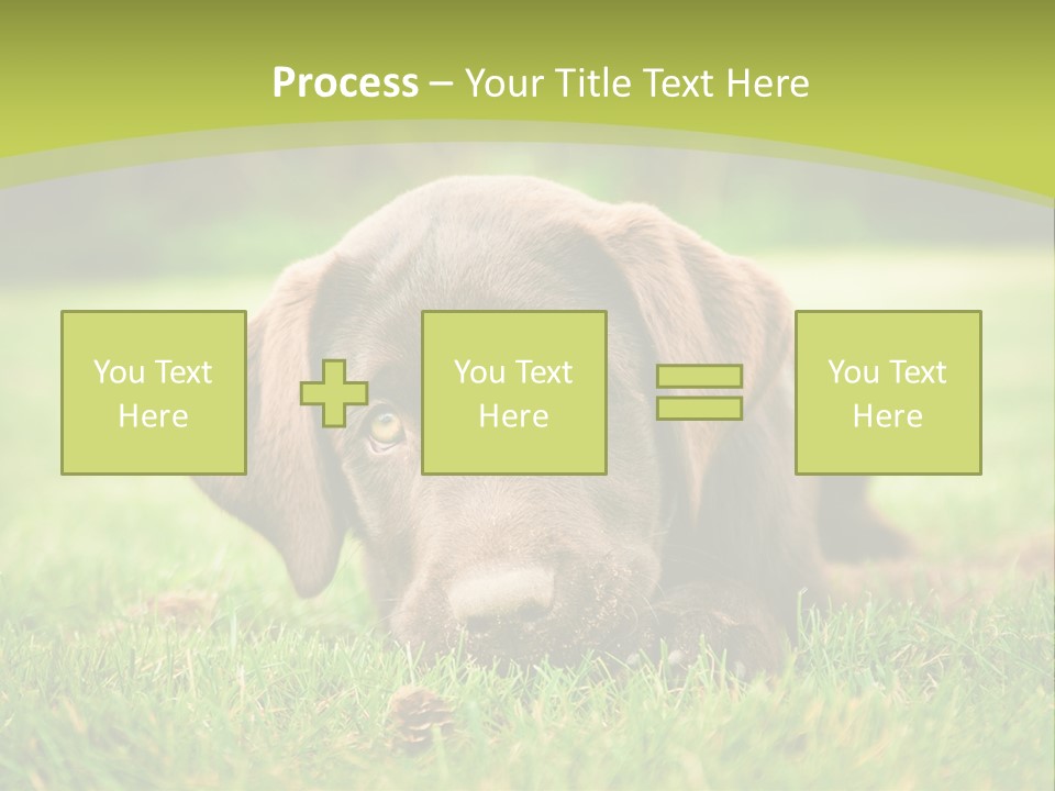 Summer Brown Face PowerPoint Template