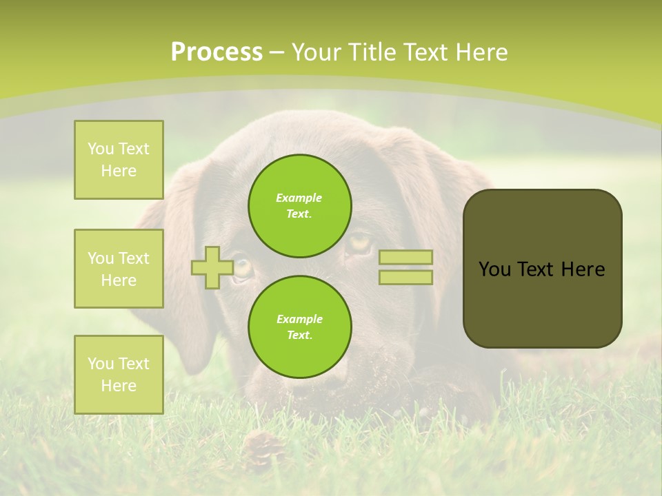 Summer Brown Face PowerPoint Template