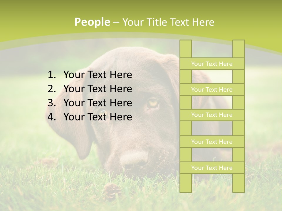 Summer Brown Face PowerPoint Template