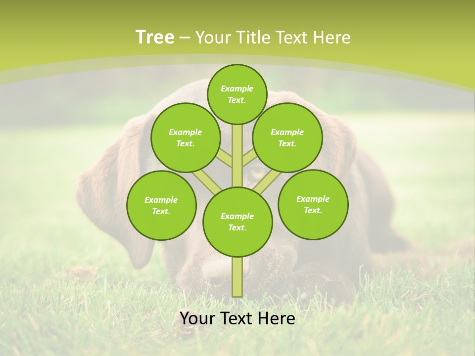 Summer Brown Face PowerPoint Template