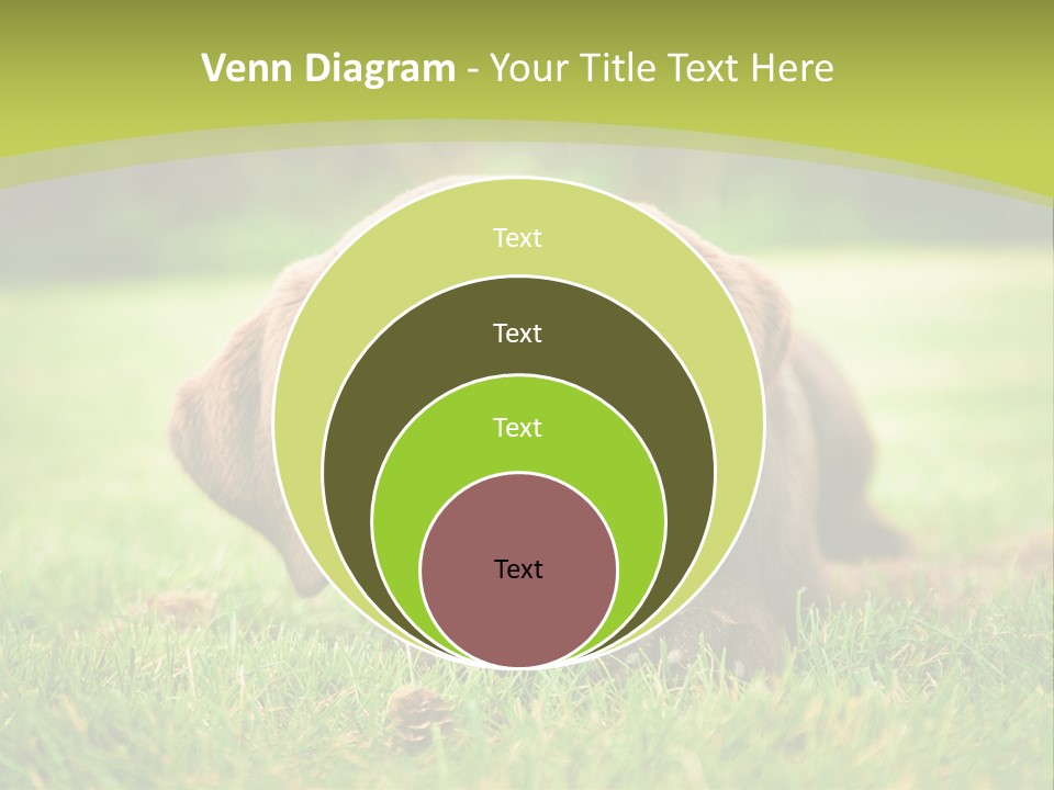 Summer Brown Face PowerPoint Template