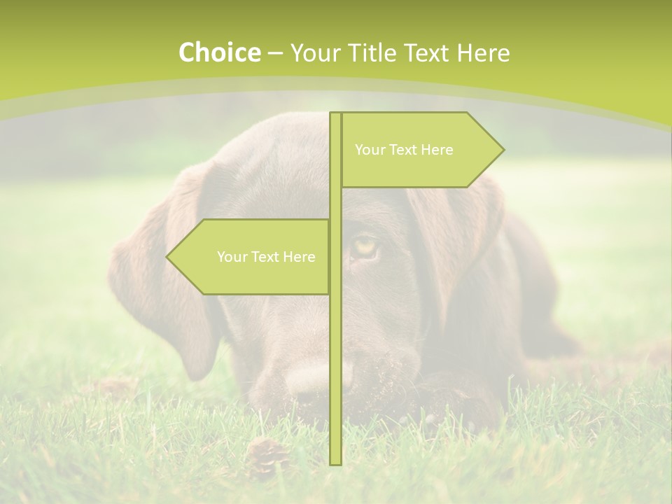 Summer Brown Face PowerPoint Template