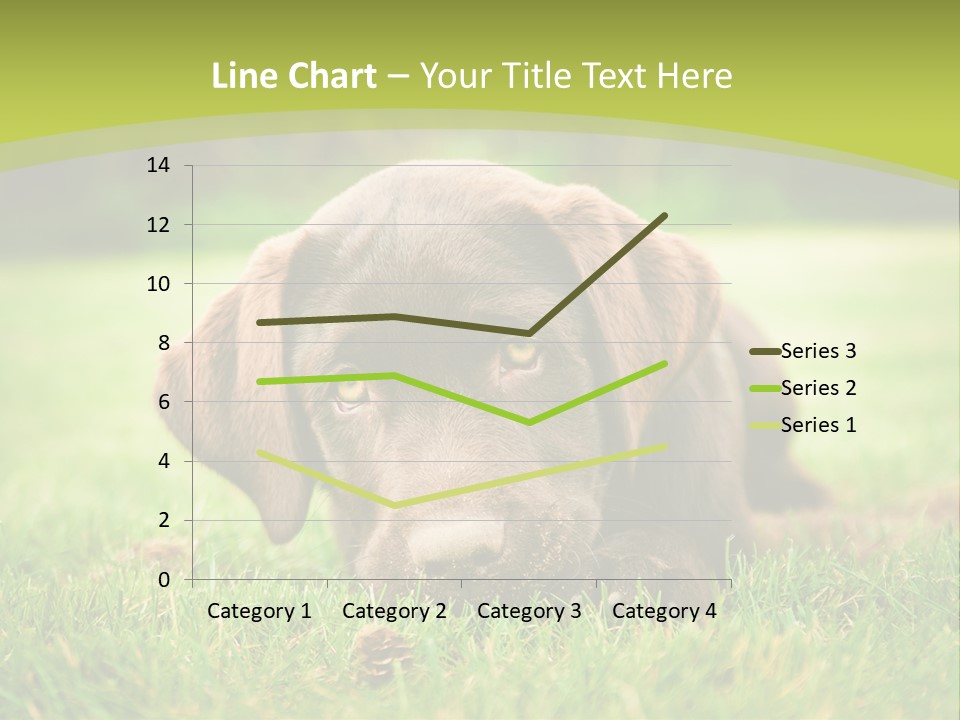 Summer Brown Face PowerPoint Template