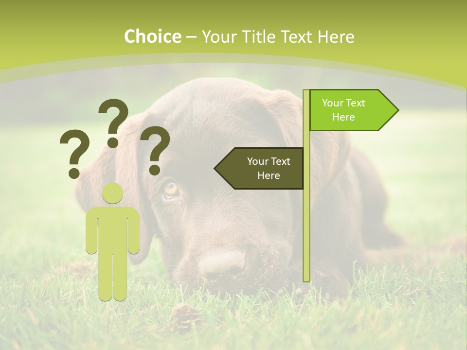 Summer Brown Face PowerPoint Template