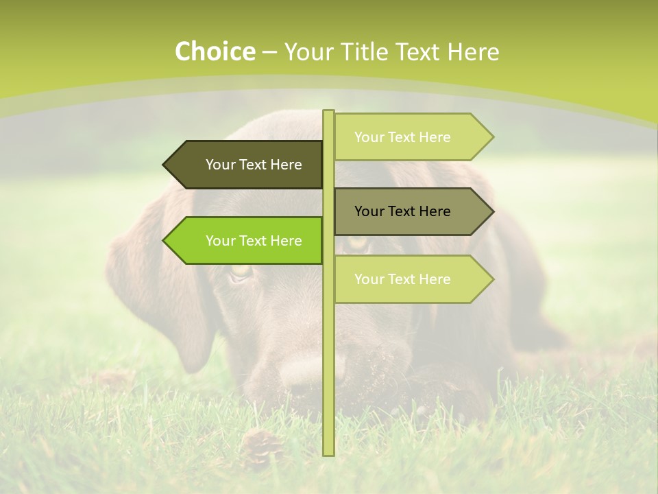 Summer Brown Face PowerPoint Template