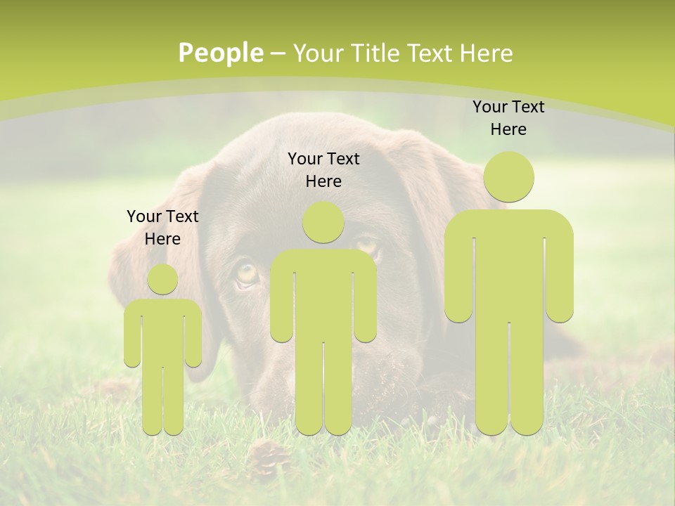 Summer Brown Face PowerPoint Template