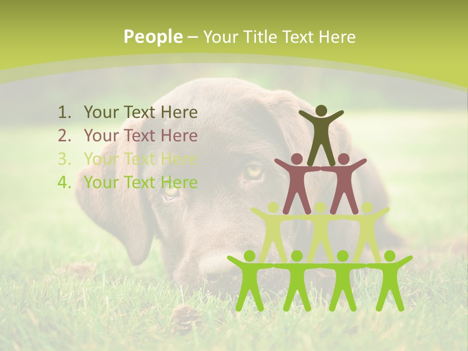 Summer Brown Face PowerPoint Template