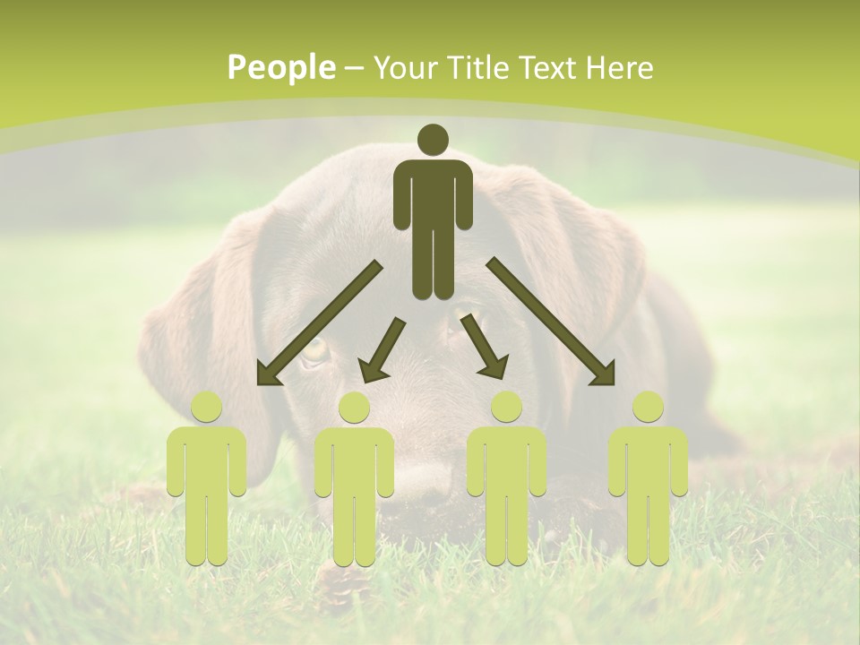 Summer Brown Face PowerPoint Template