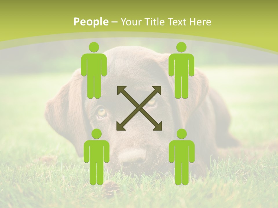 Summer Brown Face PowerPoint Template