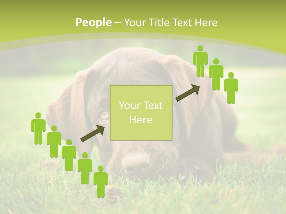 Summer Brown Face PowerPoint Template