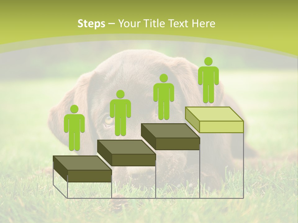 Summer Brown Face PowerPoint Template