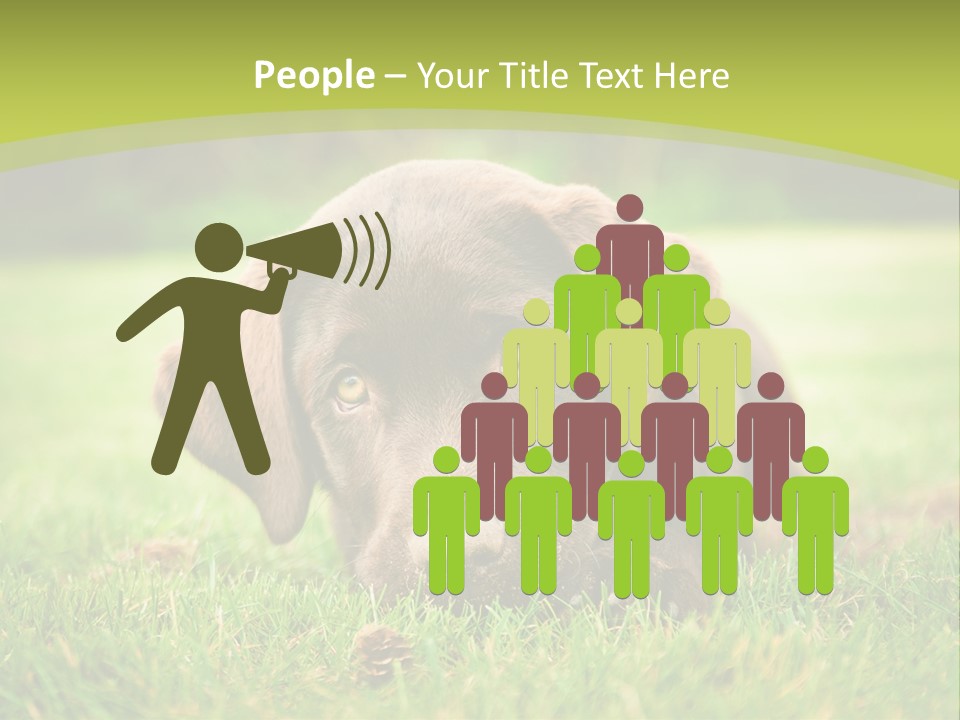 Summer Brown Face PowerPoint Template