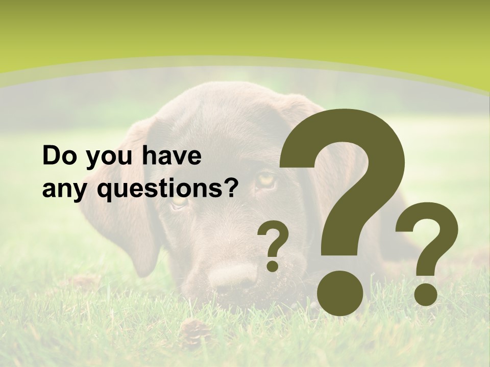 Summer Brown Face PowerPoint Template