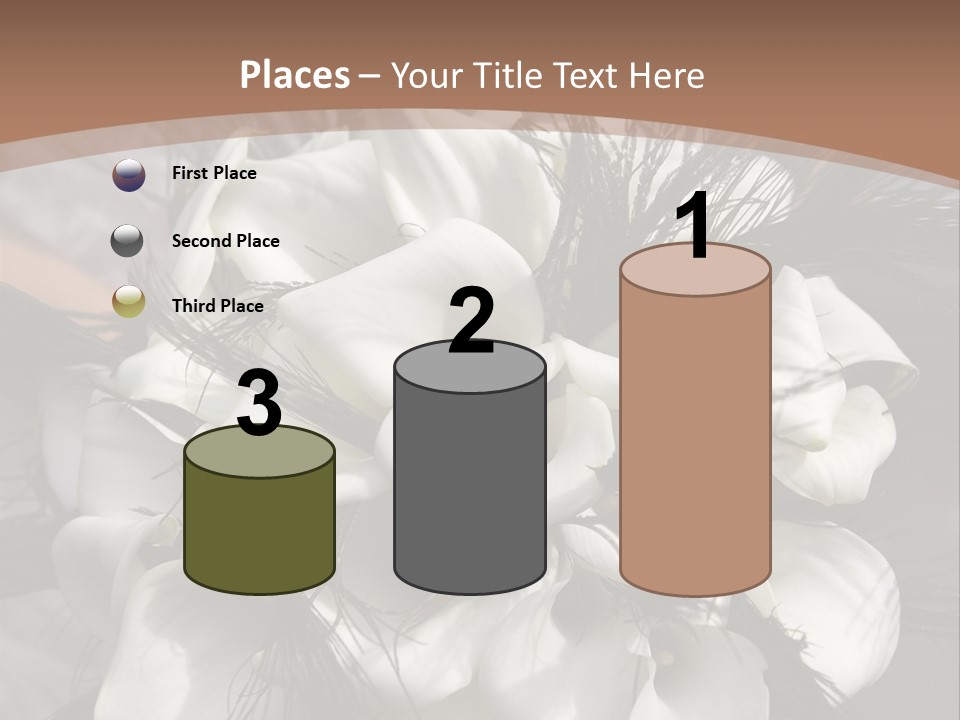 Bridal Beauty Ring PowerPoint Template