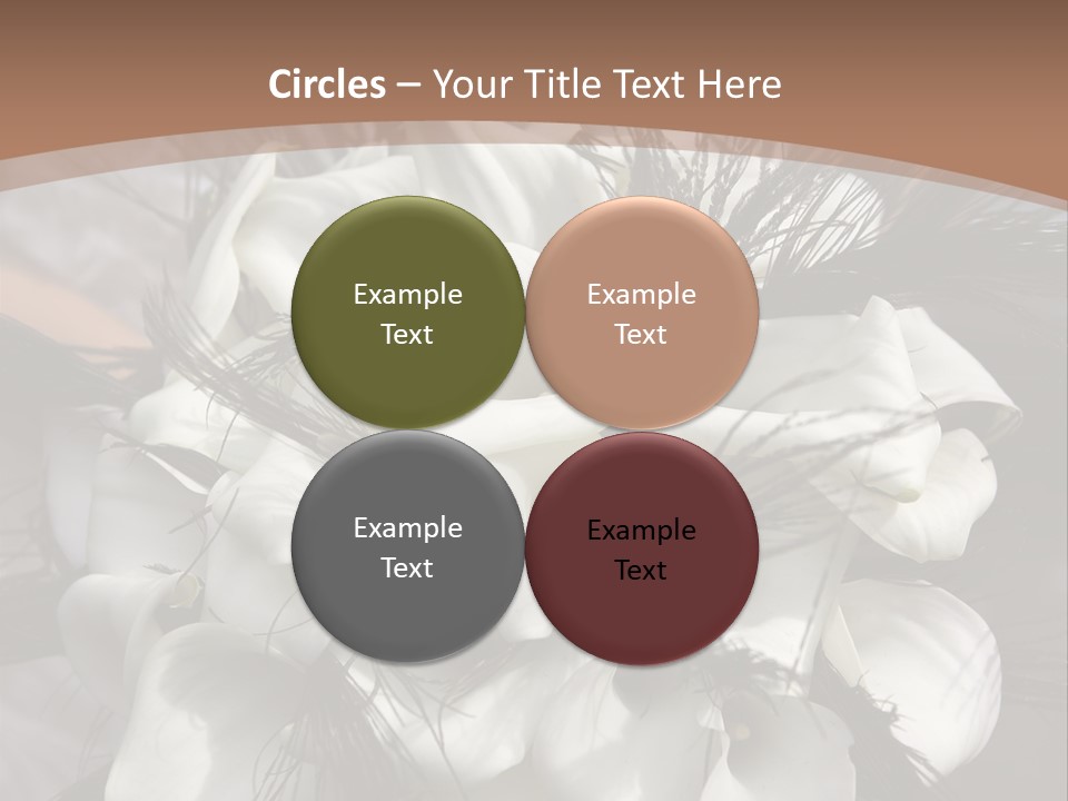 Bridal Beauty Ring PowerPoint Template
