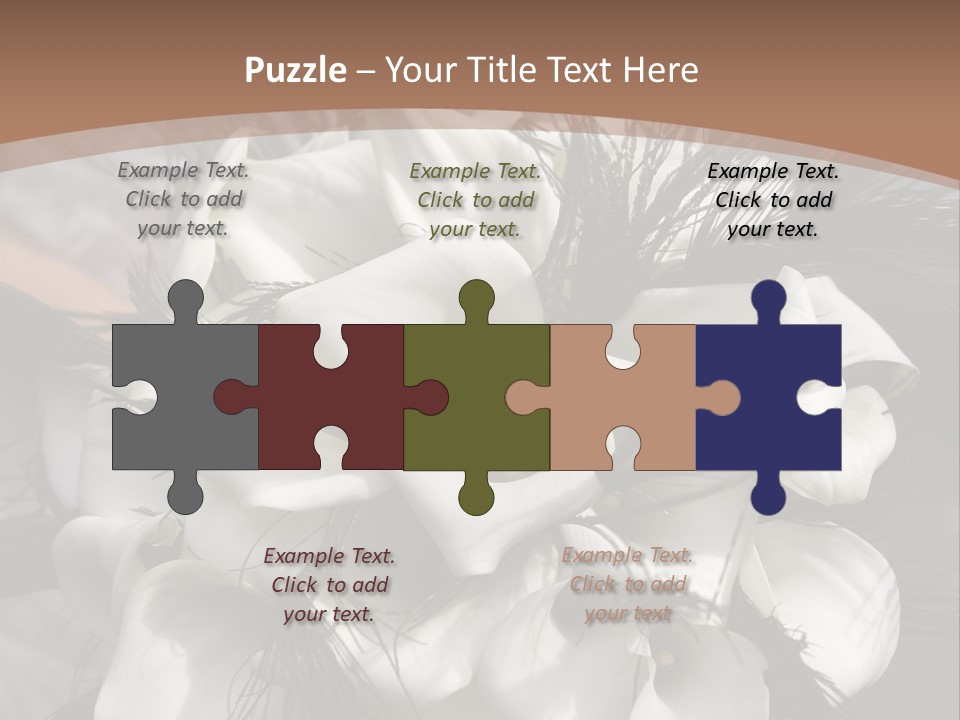 Bridal Beauty Ring PowerPoint Template