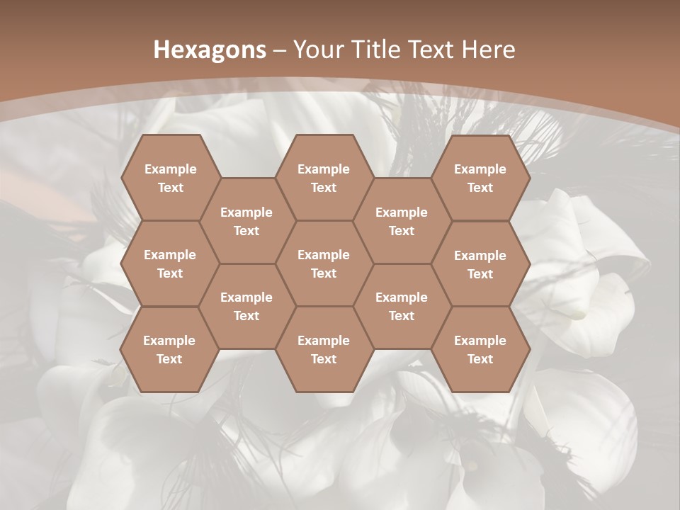 Bridal Beauty Ring PowerPoint Template