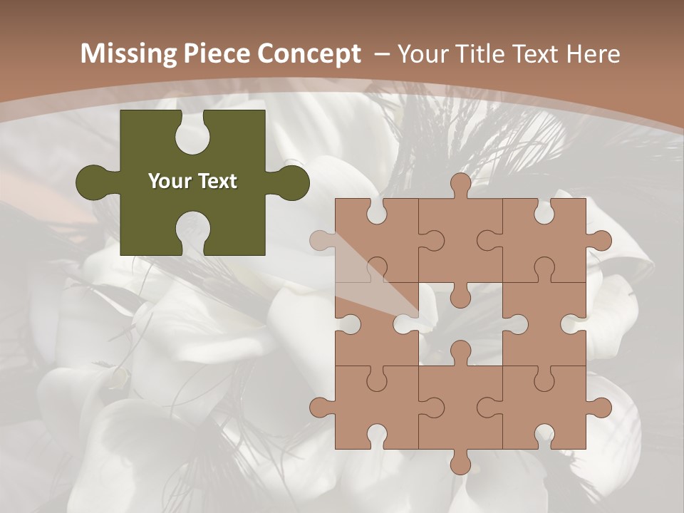 Bridal Beauty Ring PowerPoint Template