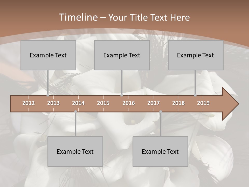 Bridal Beauty Ring PowerPoint Template
