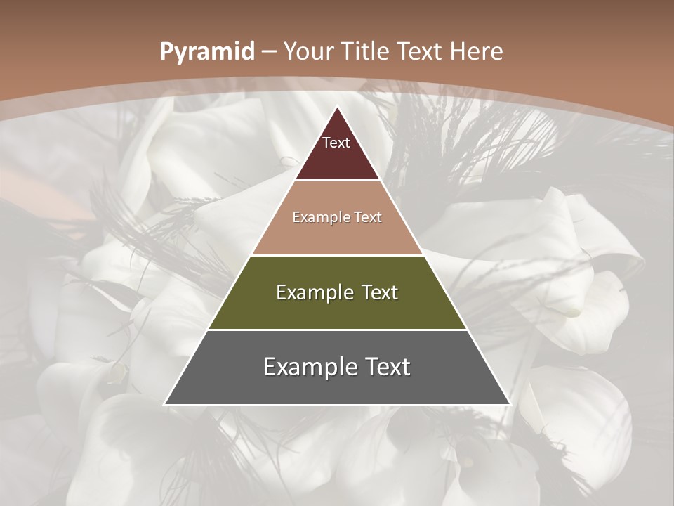 Bridal Beauty Ring PowerPoint Template