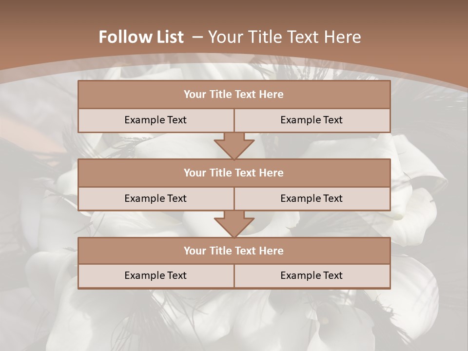 Bridal Beauty Ring PowerPoint Template