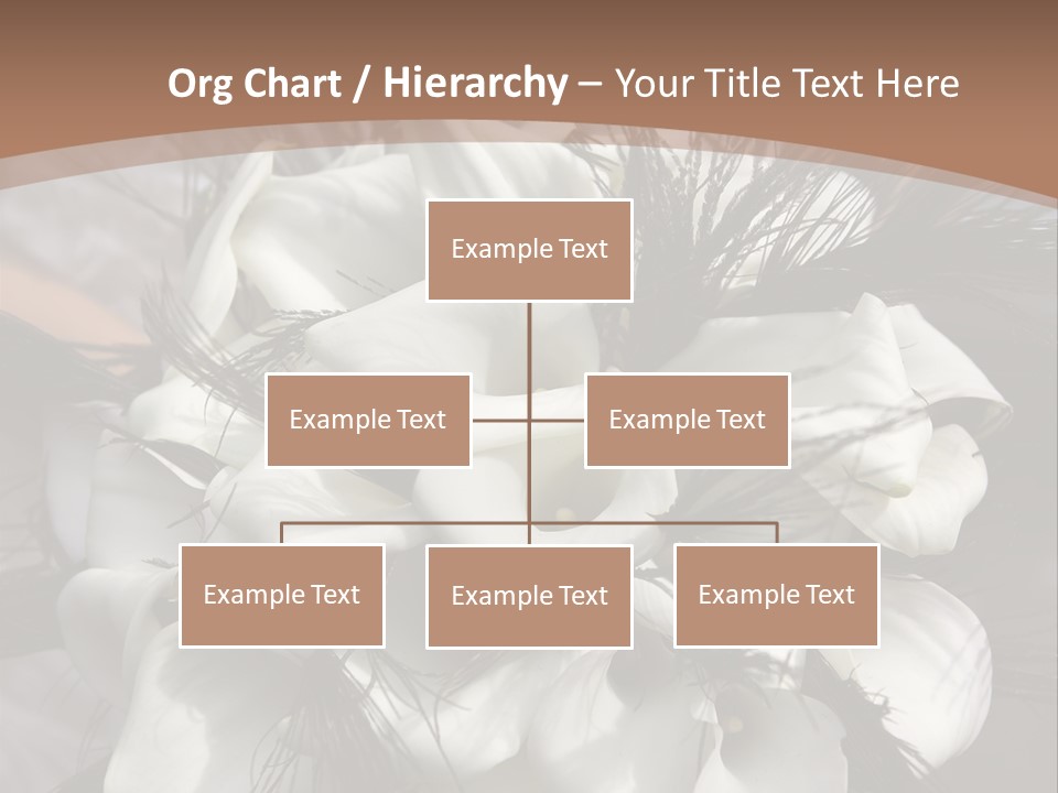 Bridal Beauty Ring PowerPoint Template