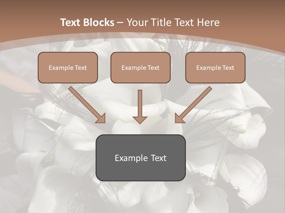 Bridal Beauty Ring PowerPoint Template