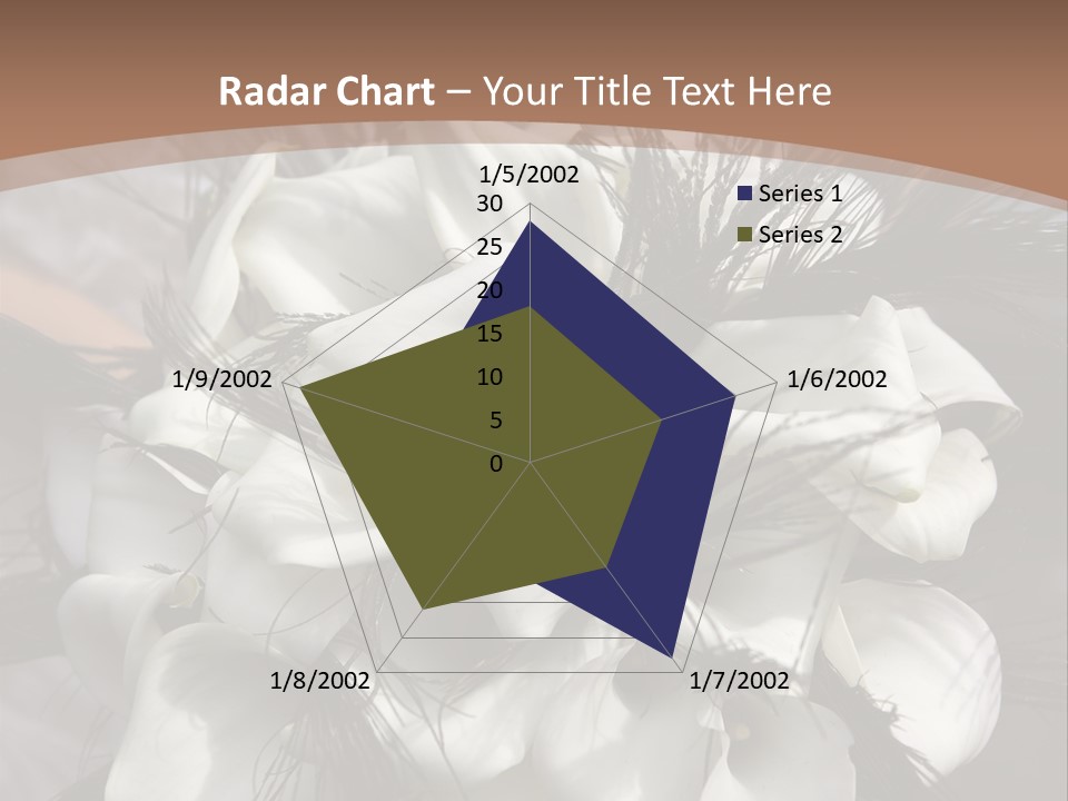 Bridal Beauty Ring PowerPoint Template