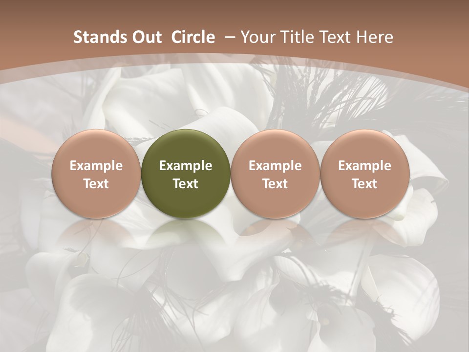 Bridal Beauty Ring PowerPoint Template