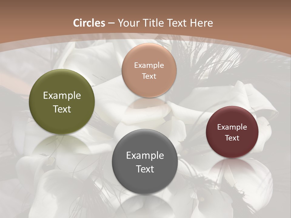 Bridal Beauty Ring PowerPoint Template