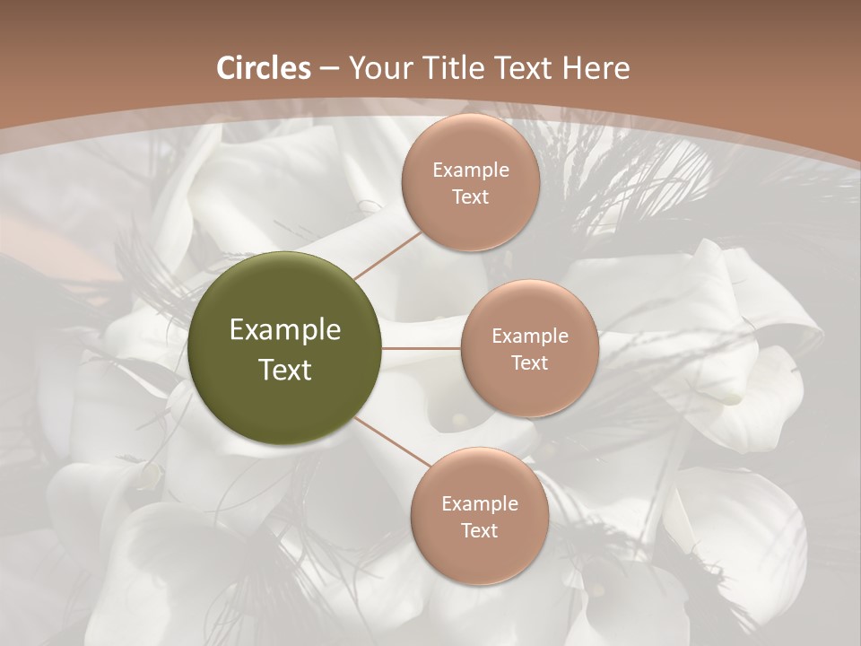 Bridal Beauty Ring PowerPoint Template